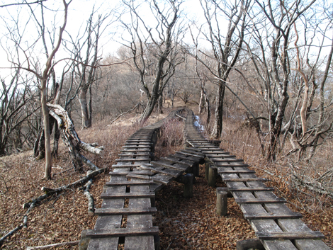 20171207hike (198)